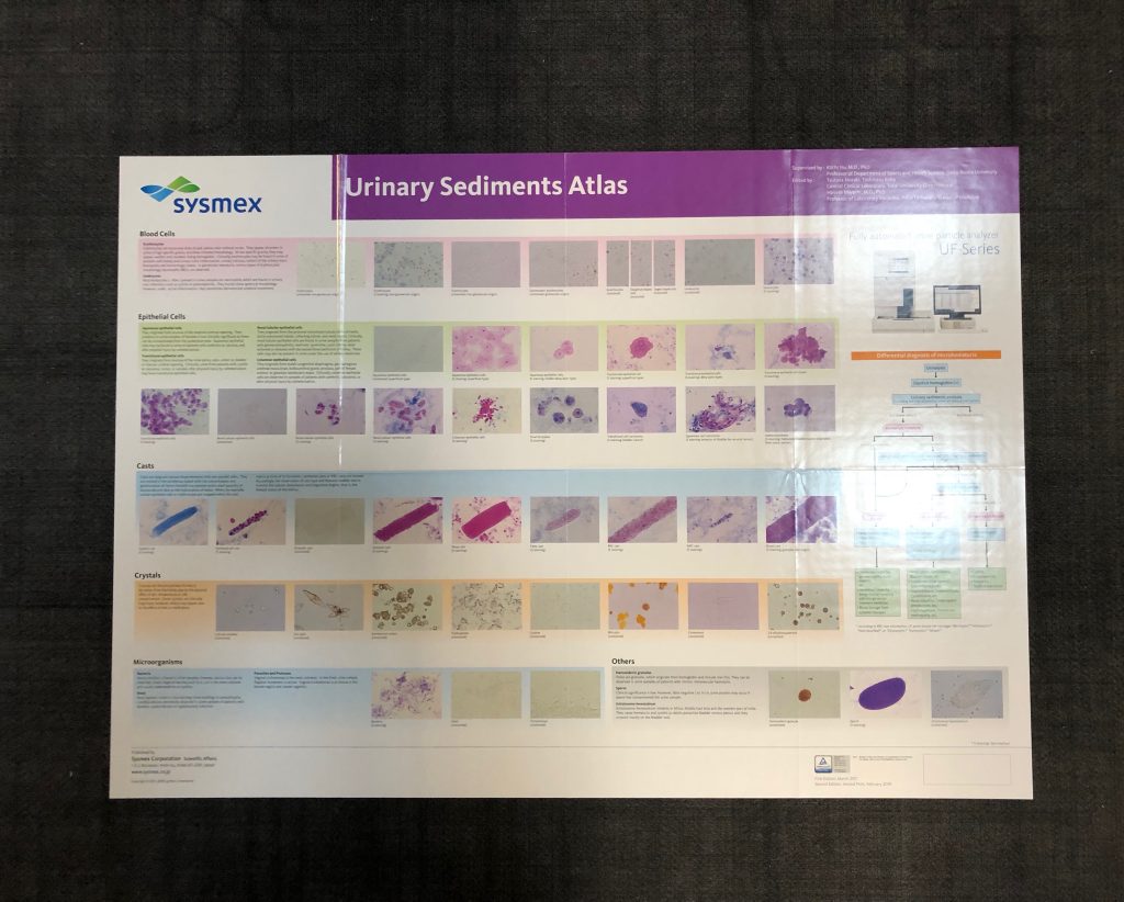 Urinary Sediments Atlas Poster Sysmex Print Inventory